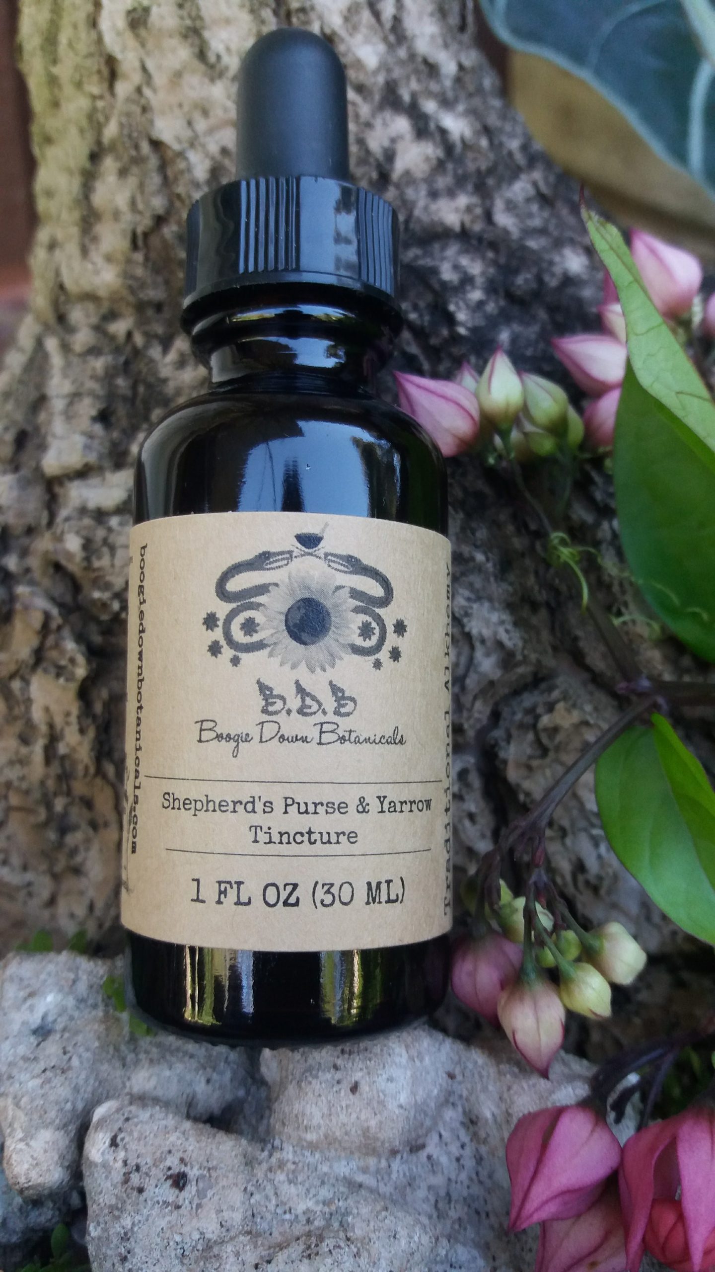 Amazon.com : Shepherd's purse (Capsella bursa-pastoris) Liquid Extract 2x4  fl.oz : Herbal Supplements : Health & Household
